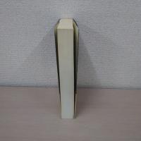 二十世紀のファウスト