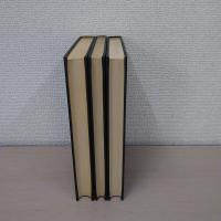 子どもの思考の起源 上中下巻揃い