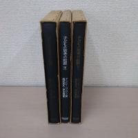 子どもの思考の起源 上中下巻揃い