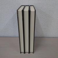 見田石介 ヘーゲル大論理学研究 全3巻揃い