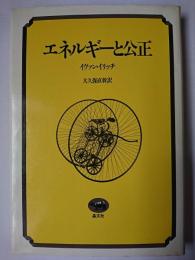 エネルギーと公正