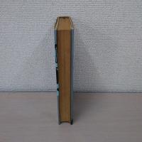 おもろうて、やがて哀しきポペコかな : 鶴瓶・新野の「ぬかるみの世界」 ＜ワニの本 ベストセラーシリーズ＞