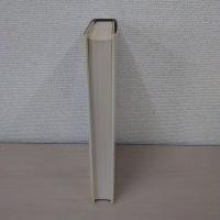 The Magic Mirror： Law in American History