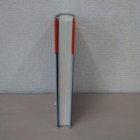 Red， White， and Blue： A Critical Analysis of Constitutional Law