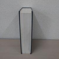 Constitutional law (University casebook series)