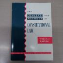 The Concepts and Methods of Constitutional Law (A Carolina Academic Press Study Guide)