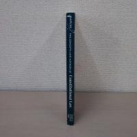 The Concepts and Methods of Constitutional Law (A Carolina Academic Press Study Guide)