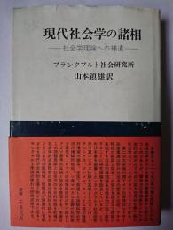 現代社会学の諸相 : 社会学理論への補遺