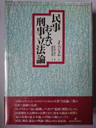 民事および刑事立法論