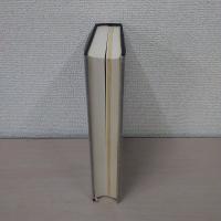 堀家の歴史 : 飯田・村松・須坂・椎谷