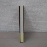 倉橋由美子 ＜人物書誌大系 38＞