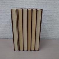 藤沢秀行囲碁学校 全6巻揃い