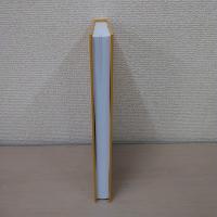 【洋書】International Organizations and Higher Education Policy: Thinking Globally、Acting Locally? (International Studies in Higher Education)