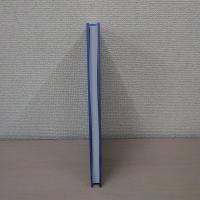 【洋書】Reconstructing Identities in Higher Education: The rise of  [Third Space] professionals (Research into Higher Education)