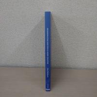 【洋書】Reconstructing Identities in Higher Education: The rise of  [Third Space] professionals (Research into Higher Education)