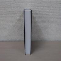 Ueber Existenz：Die Ontologie Roman Ingardens (Phaenomenologica 130)