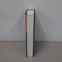 Deutsche Soren Kierkegaard Edition：Journale und Aufzeichnungen Jounale AA-DD