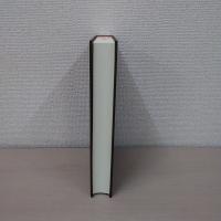 図像解釈学：権力と他者 (仏教美術論集 4)