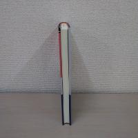 法的支援ネットワーク：地域滞在型調査[エスノグラフィー]による考察 (学術選書)