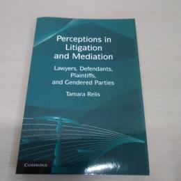 Perceptions in Litigation and Mediation：Lawyers，Defendants，Plaintiffs，and Gendered Parties