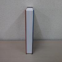 Mediation Ethics：Cases and Commentaries