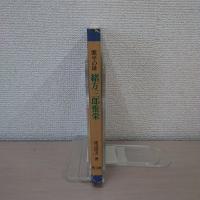 源平の雄 緒方三郎惟栄