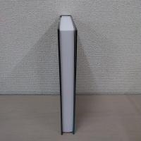 Womens Empowerment and Demographic Processes Moving Beyond Cairo (International Studies in Demography)