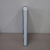 Language Use and Language Learning in CLIL Classrooms (AILA Applied Linguistics Series 7)