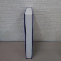 The Worldwide Transformmation of Higher Education (INTERNATIONAL PERSPECTIVES ON EDUCATION AND SOCIETY)