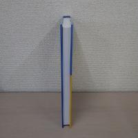 Multimedia Environmental Models：The Fugacity Approach [Second Edition]