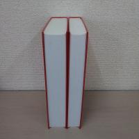 Franz Kafka，Internationale Bibliographie der Primar- und Sekundarliteratur 2-1・2-2　2冊セット