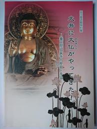大井に大仏がやってきた! : 養玉院如来寺の歴史と寺宝