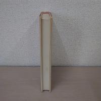 バタイユの黒い天使 : ロール遺稿集