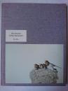 Des oiseaux