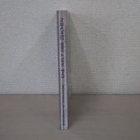 Eine Welt der Zeichen: Yoko Tawadas Frankreich als Dritter Raum Mit dem Tagebuch der bebenden Tage und zwei weiteren Originaltexten von Yoko Tawada