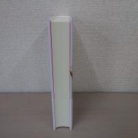 ヴァレリー、愛の第二章：あるいはカトリーヌ・ポッジ