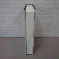 論究日本近代語 第4集