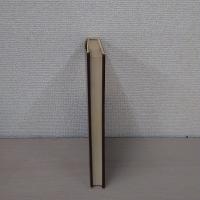現実 : 森口美都男哲学論集(2) ＜哲学叢書＞