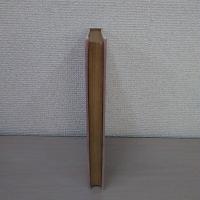 藝者怪物論