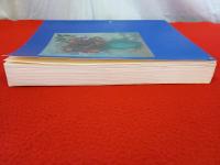 Odilon Redon 1840-1916 【洋書】