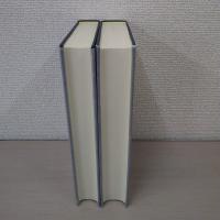 攝津名所圖曾 全2冊 〈版本地誌大系10〉