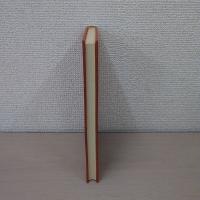 この梅生ずべし