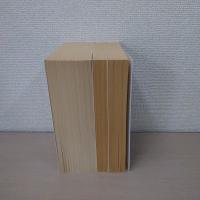 （Kritische Ausgabe in 15 Baenden：Limitierte Sonderausgabe：Schriften und Tagebuecher　のうち）　Tagebuecher、Tagebuecher Kommentarband、Tagebuecher Apparatband の3冊セット