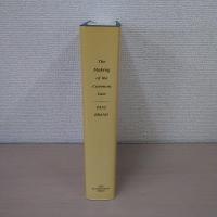The Making of the Common Law