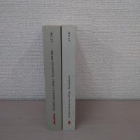 Romantheorie 2Bande