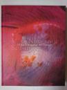 Mika Ninagawa : Self-image