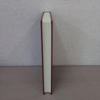 農耕・景観・災害: 琉球列島の環境史