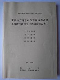 主要地方道水戸茂木線道路改良工事地内埋蔵文化財調査報告書 1 : 上入野遺跡 他 ＜茨城県教育財団文化財調査報告 第108集＞