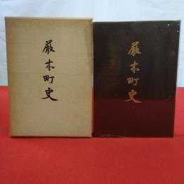 【佐賀県】厳木町史