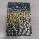 天草の渚: 浅海性ベントスの生態学